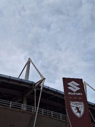 Le ambizioni del Torino passano da Atalanta e Roma